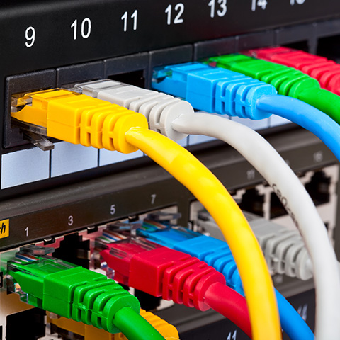 Colourful Ethernet cables plugged into a network switch for structured cabling solutions.