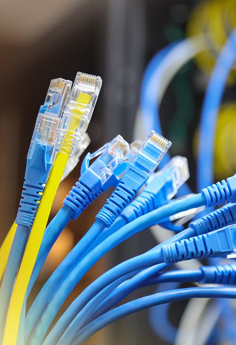 Blue and yellow Ethernet cables connected to network equipment.