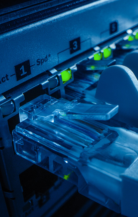 Ethernet cable connected to a network switch with active LED indicators.