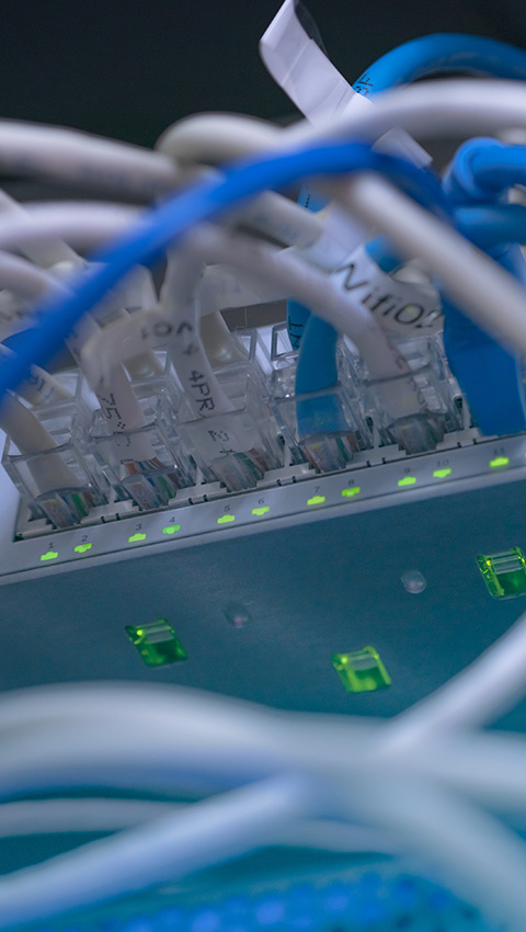 Structured cabling network with connected blue and white cables, showing active indicators.
